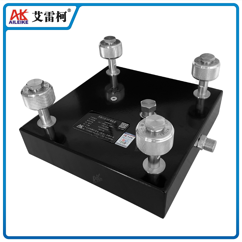 ALKZ904GL 多接口壓力擴展裝置